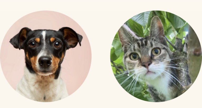 Screenshot 2026-01-13 at 11.58.35